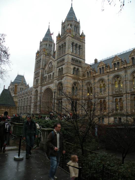  Natural History Museum
